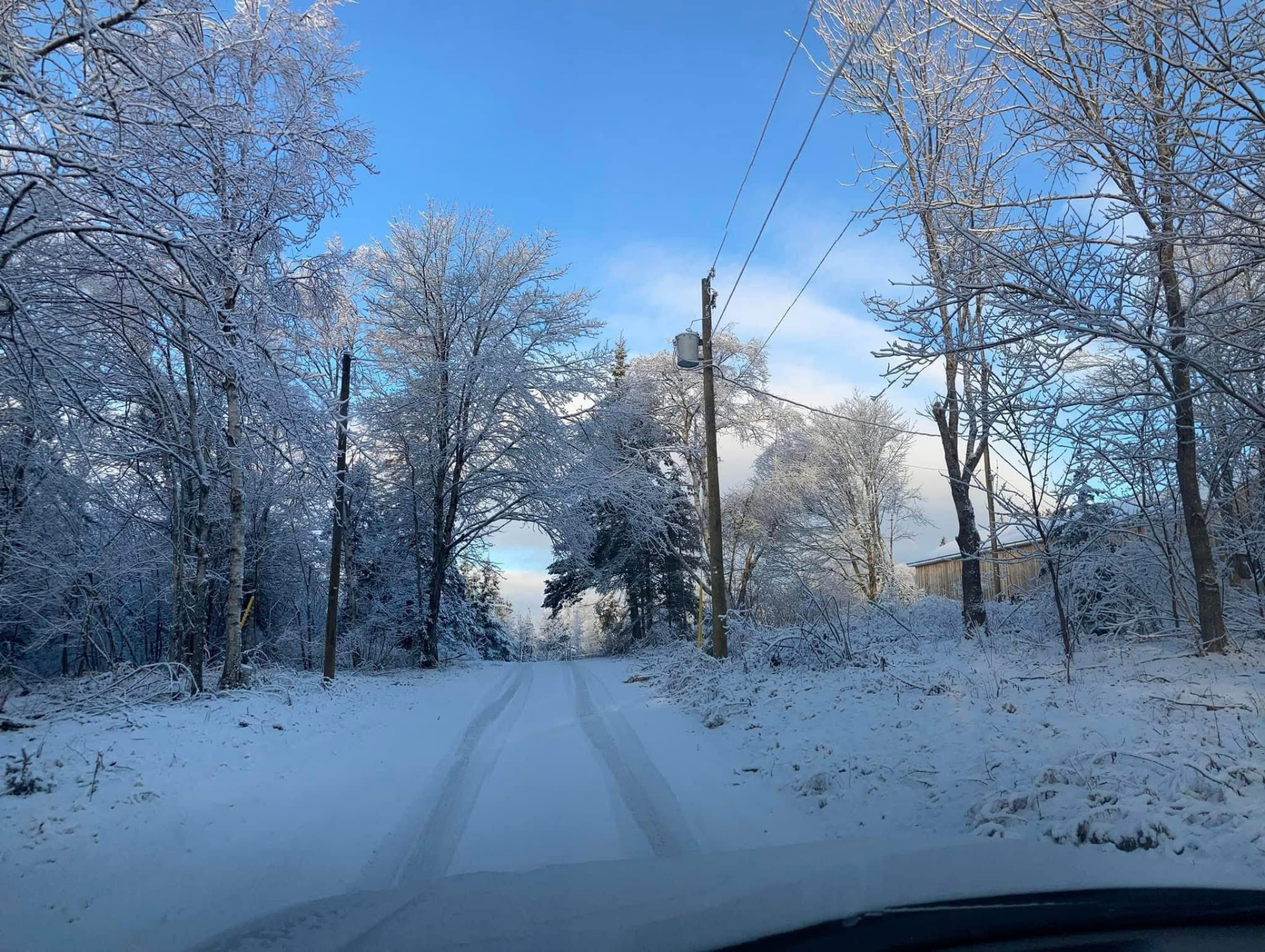 Snow-covered lane lined with frosted trees under a blue sky