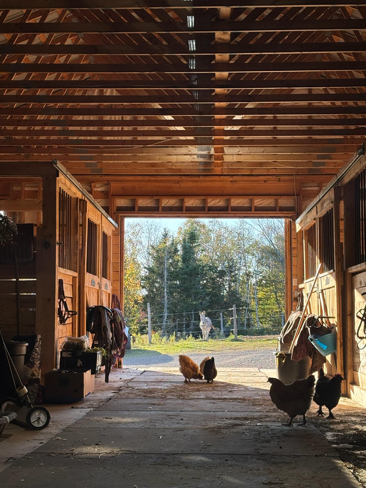 Horse Boarding