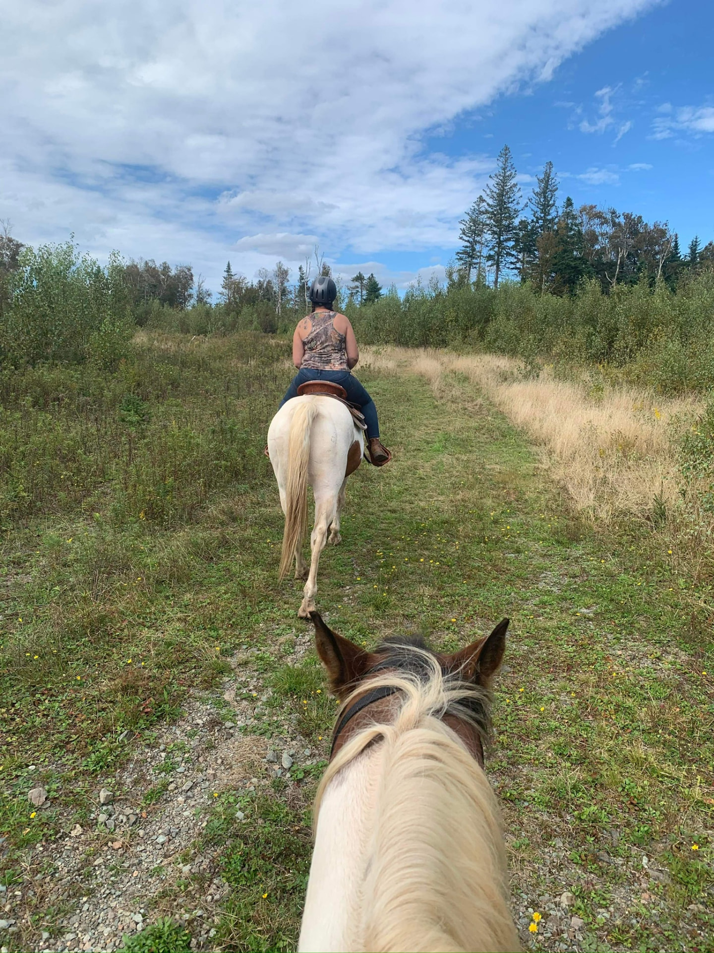 Trail ride through the New Brunswick countryside